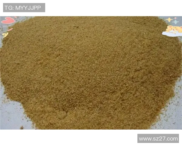 赵静独家分享篮球心得与技巧助你提升球技的全面指南 赵静独家分享篮球心得与技巧助你提升球技的全面指南