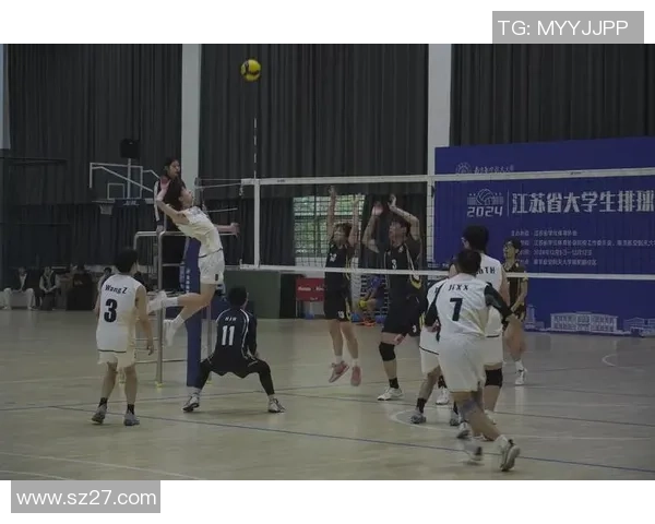 广州排球队的节奏与魅力探索：排球运动的热情与团队精神